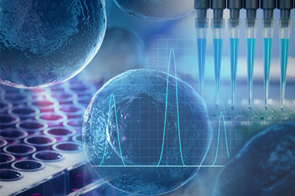 Bioanalytical Services